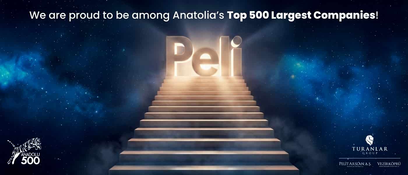 According to the Anatolian 500 – 2024 data, Vezirköprü Orman Ürünleri ranked 4th in the Wood–Forestry category.